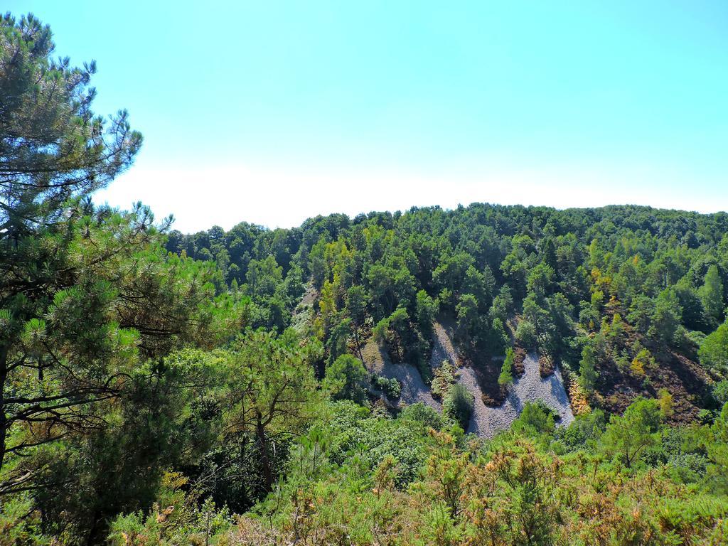 Gite Dans Les Alpes Mancelles Gesnes-le-Gandelin Exteriör bild
